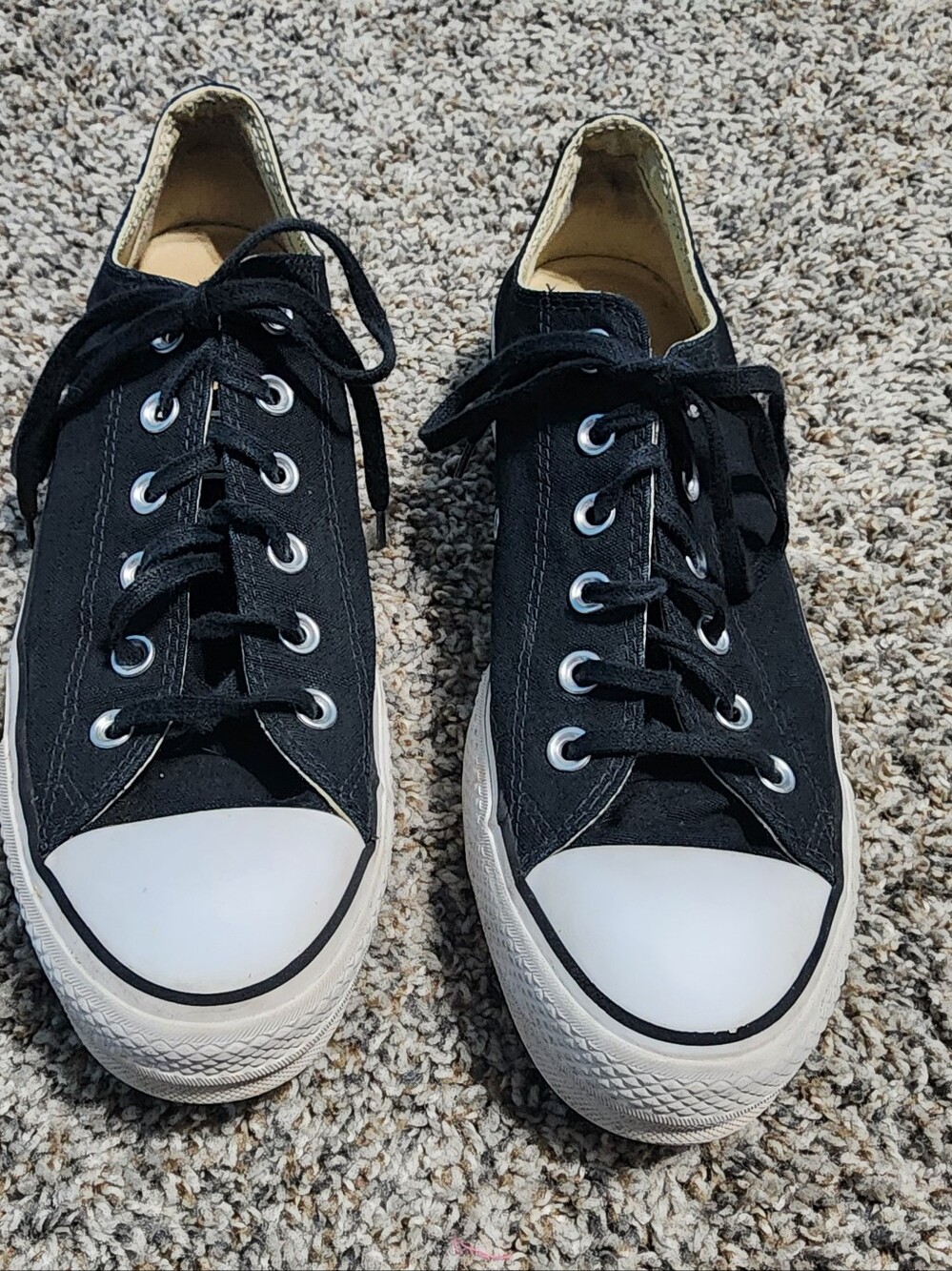 Black Converse Chuck Taylor All Star Low-top Sneakers Size 10